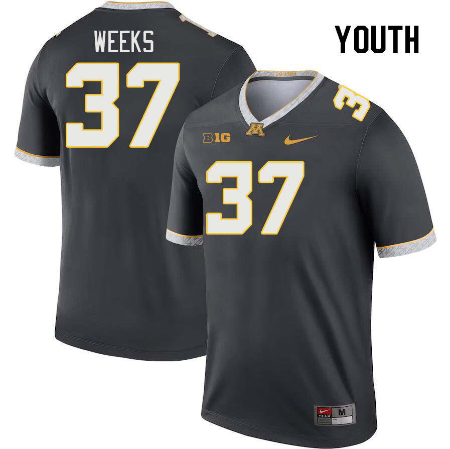 Youth #37 Brady Weeks Minnesota Golden Gophers College Football Jerseys Stitched-Charcoal